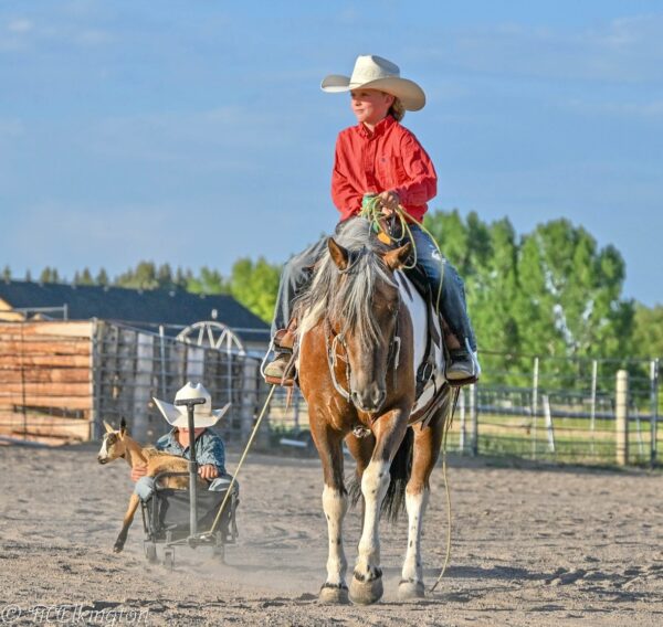 Billy Bonnie - Image 16