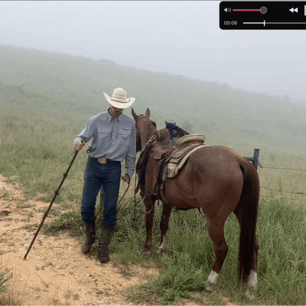THR Prairie Fire (Gus) - Image 8