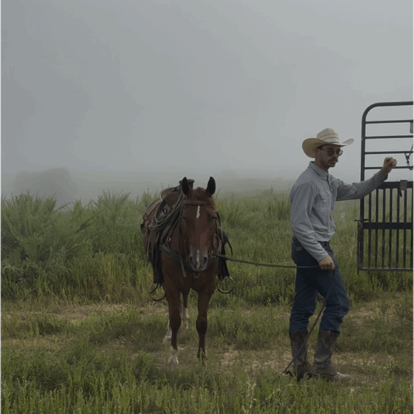 THR Prairie Fire (Gus) - Image 2