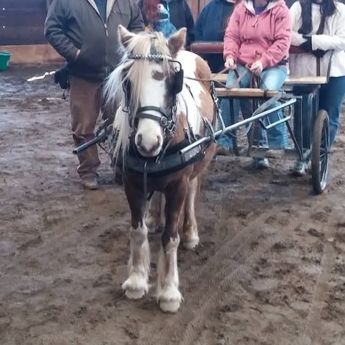 Miss Sunshine - Image 2