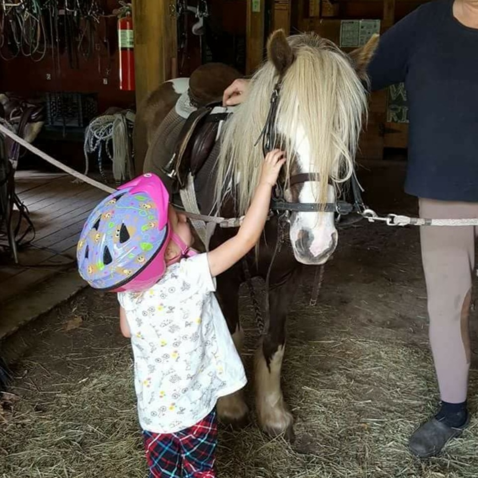 Miss Sunshine - Image 3