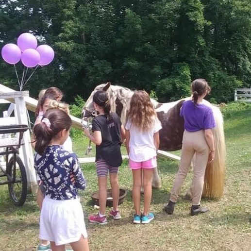 Miss Sunshine - Image 4