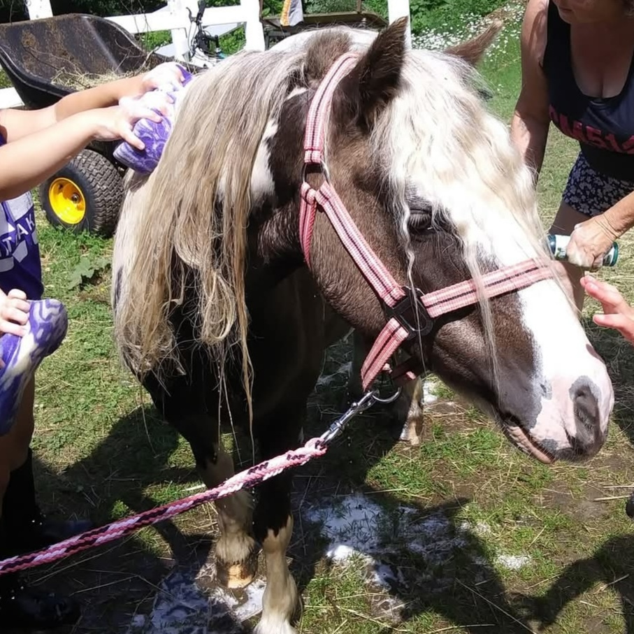 Miss Sunshine - Image 5