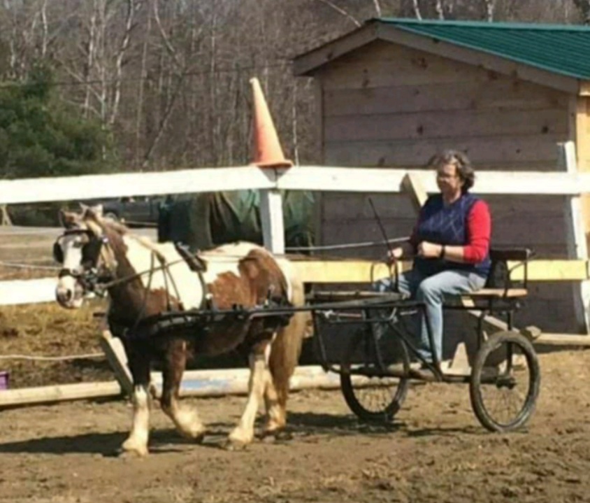 Miss Sunshine - Image 6