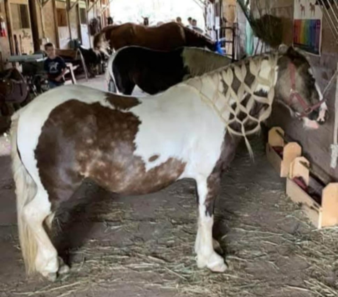 Miss Sunshine - Image 7