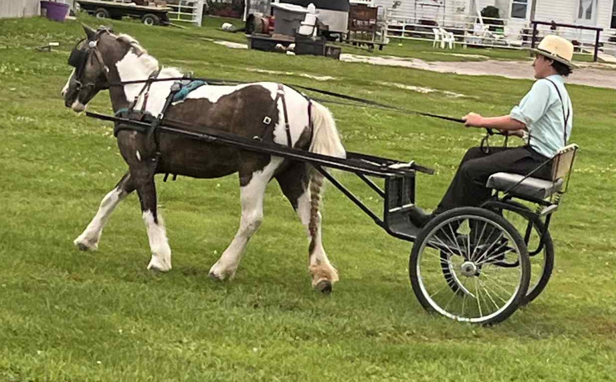 Miss Sunshine - Image 8