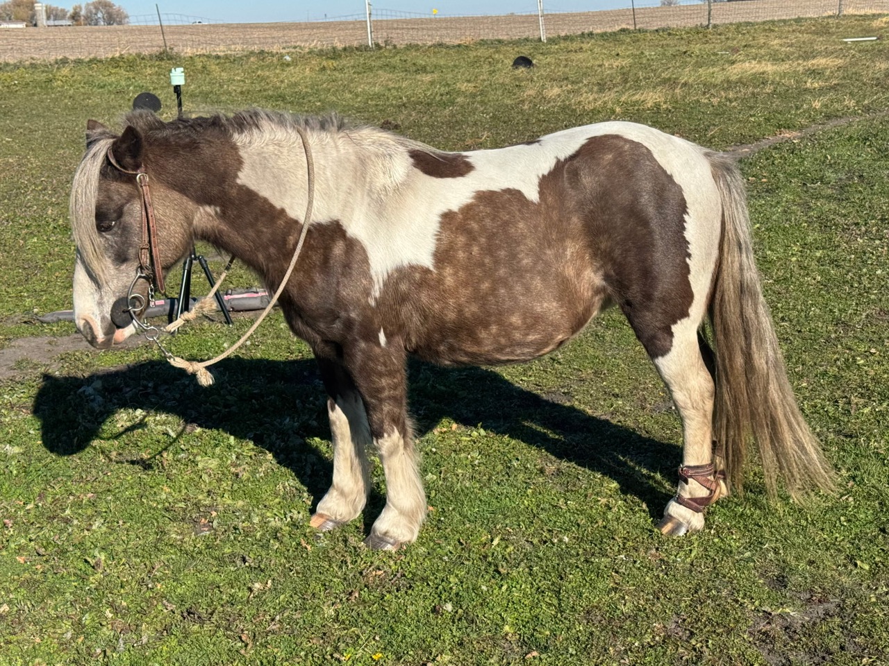 Miss Sunshine - Image 18