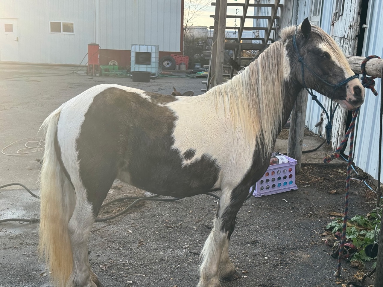 Miss Sunshine - Image 19