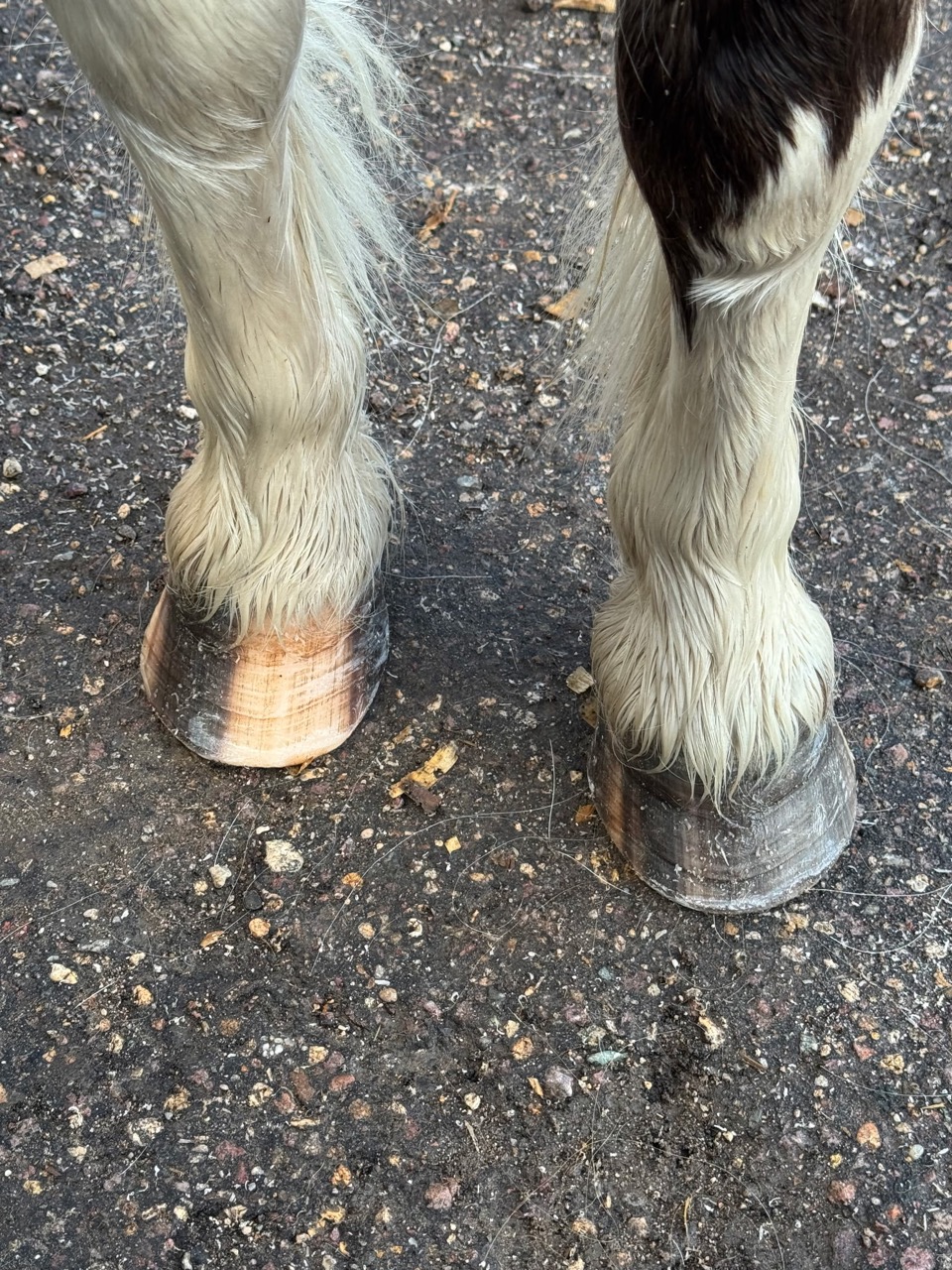 Miss Sunshine - Image 20