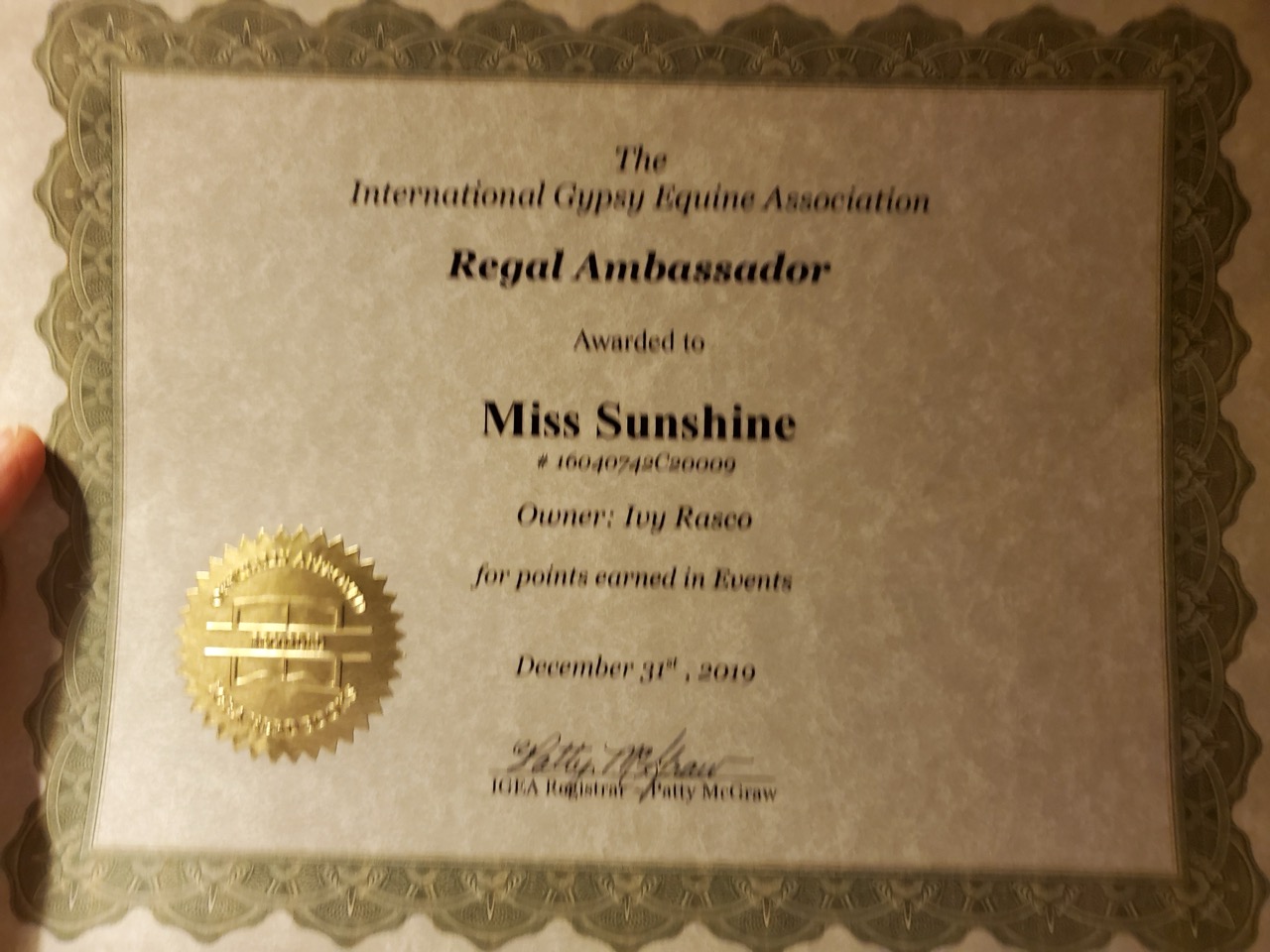 Miss Sunshine - Image 16