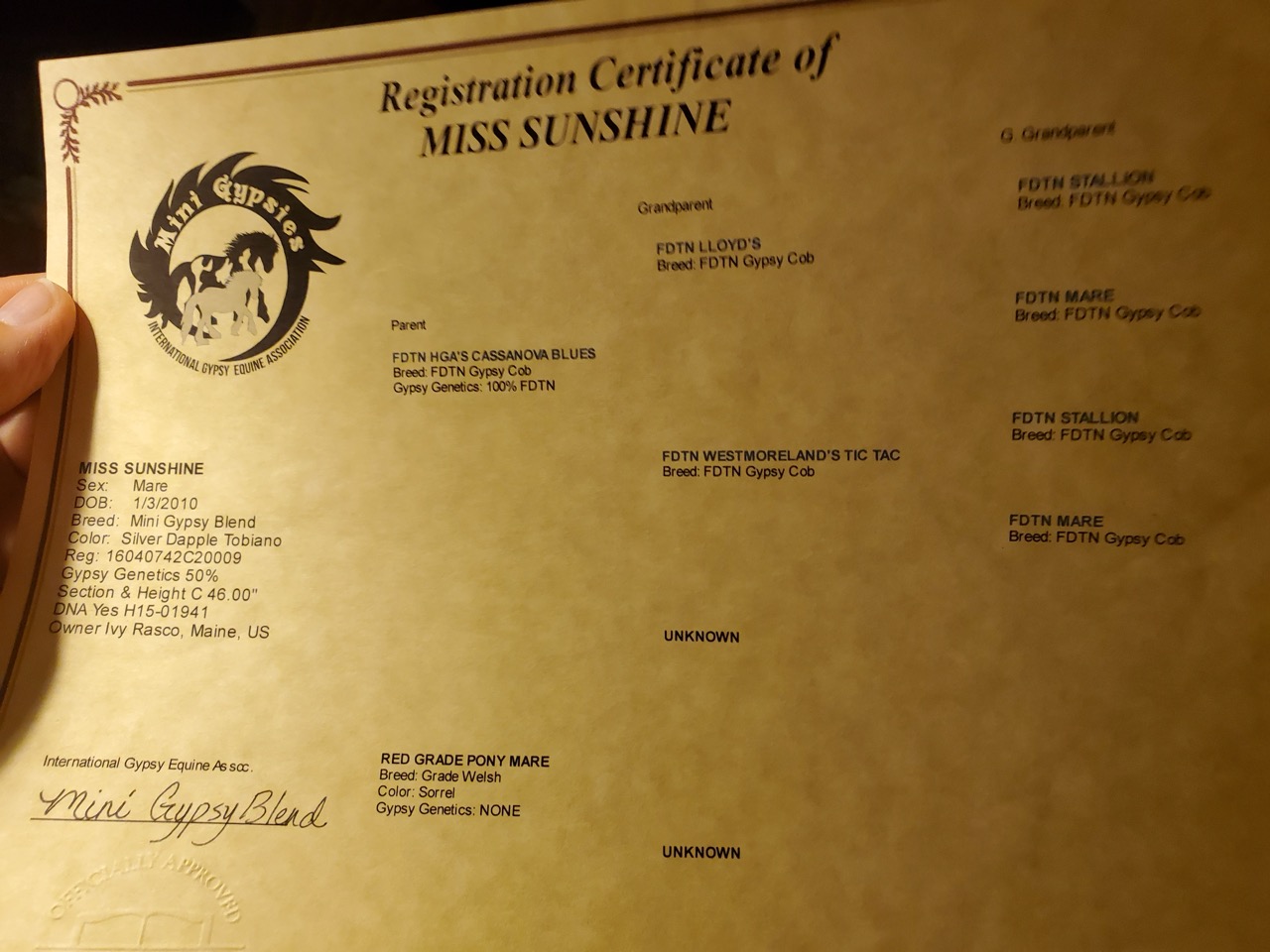 Miss Sunshine - Image 15