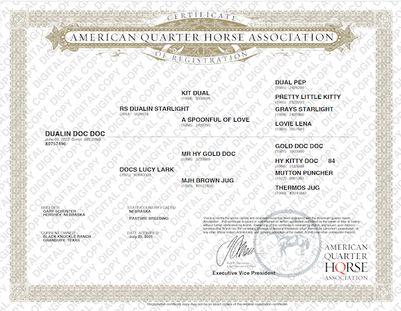 Dualin Doc Doc - Image 6