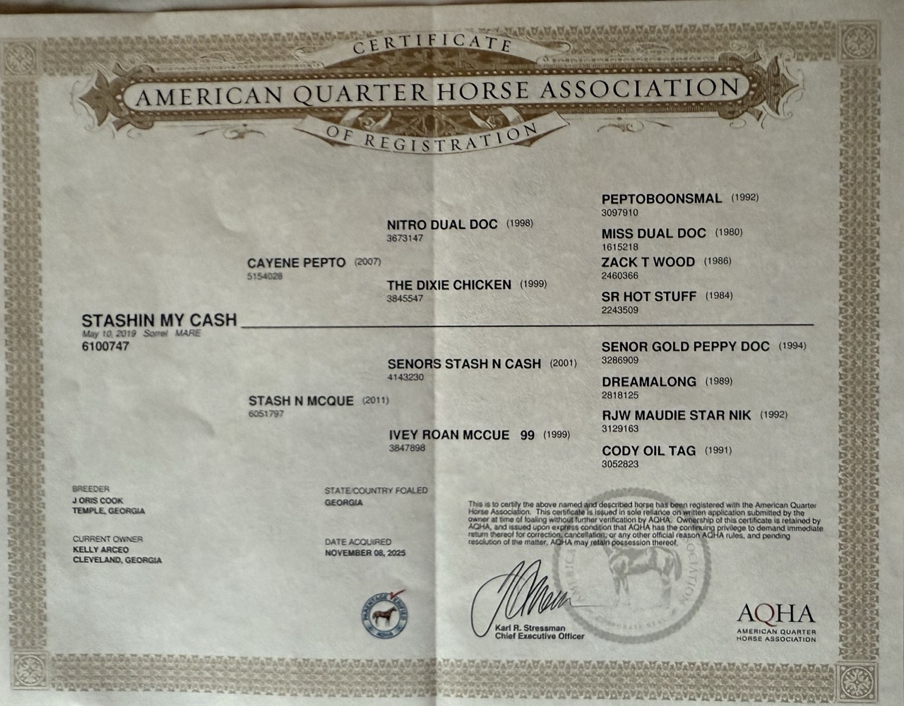 Stashin My Cash - Image 18