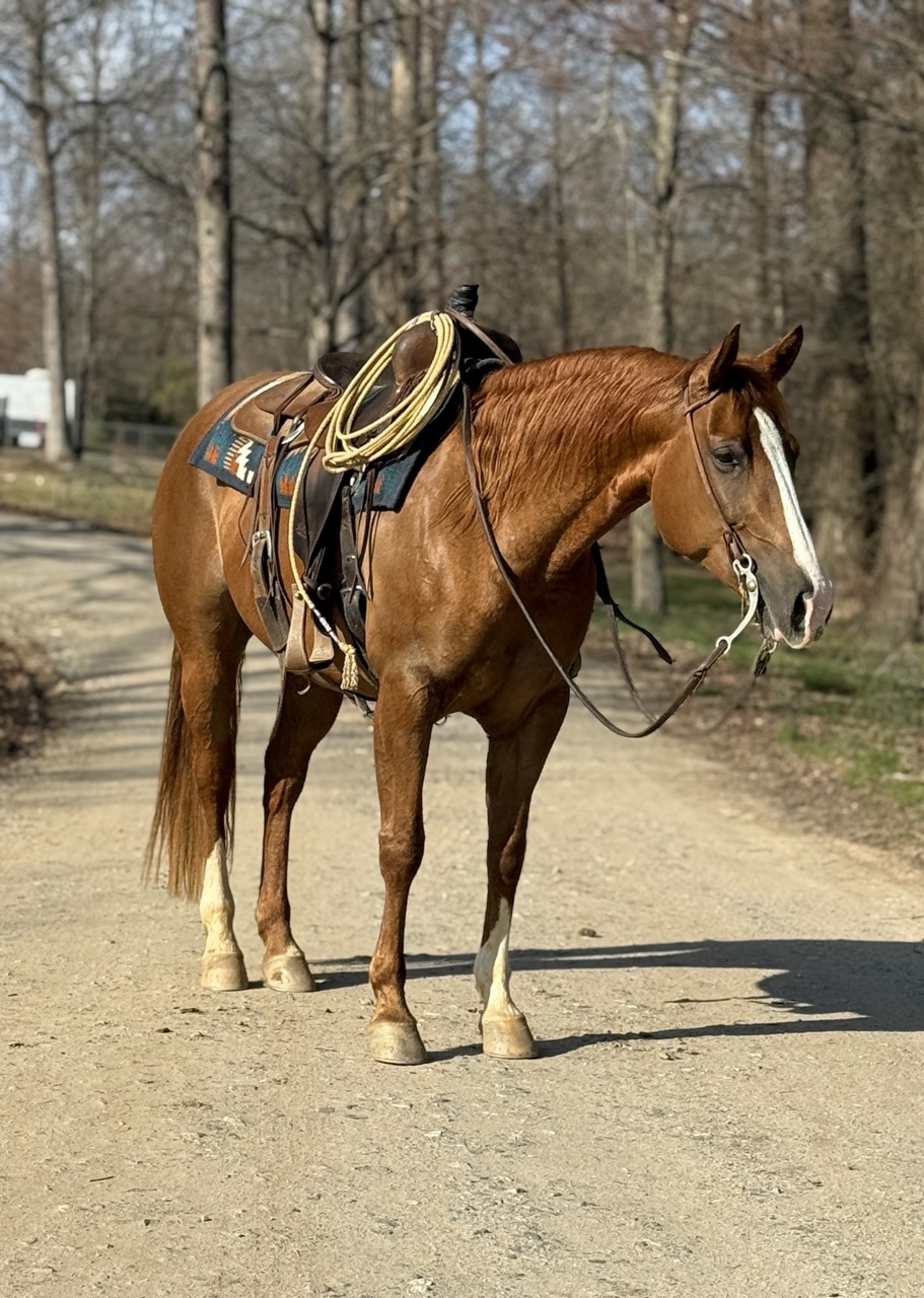 Stashin My Cash - Image 4