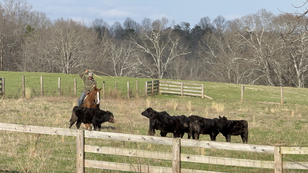 Stashin My Cash - Image 5