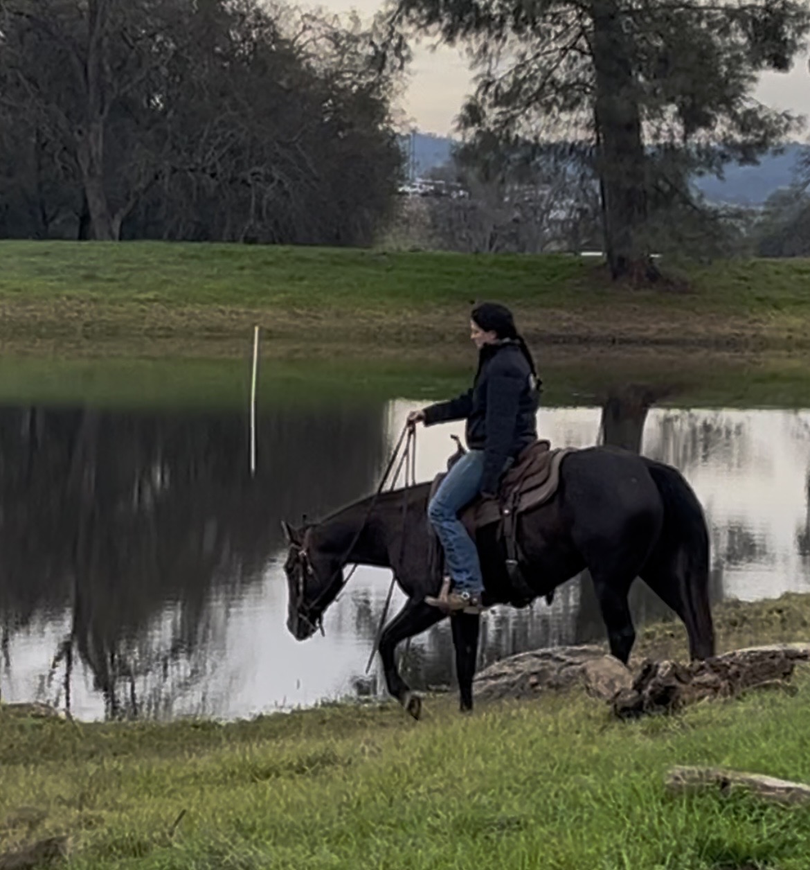 SDP Raise Your Gun - Image 4