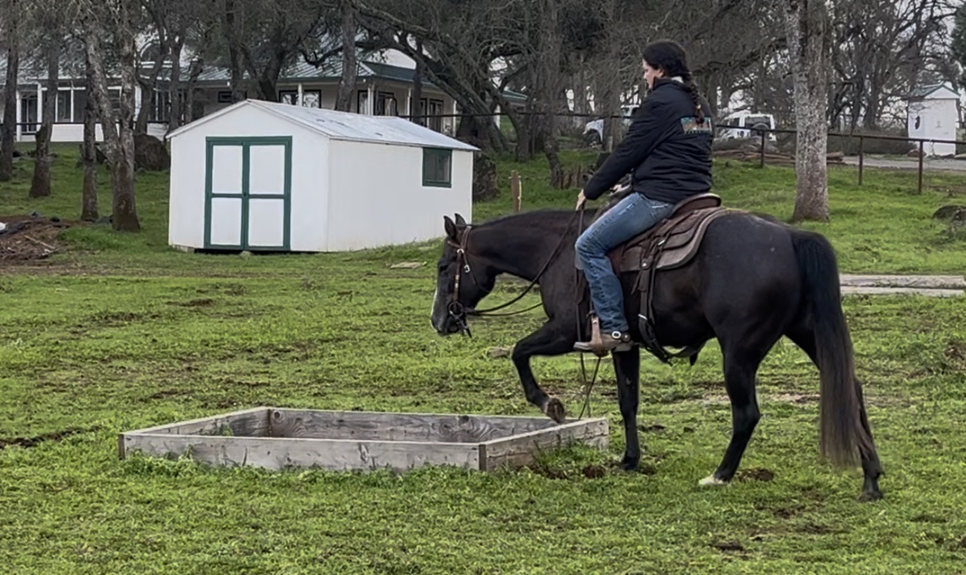 SDP Raise Your Gun - Image 7