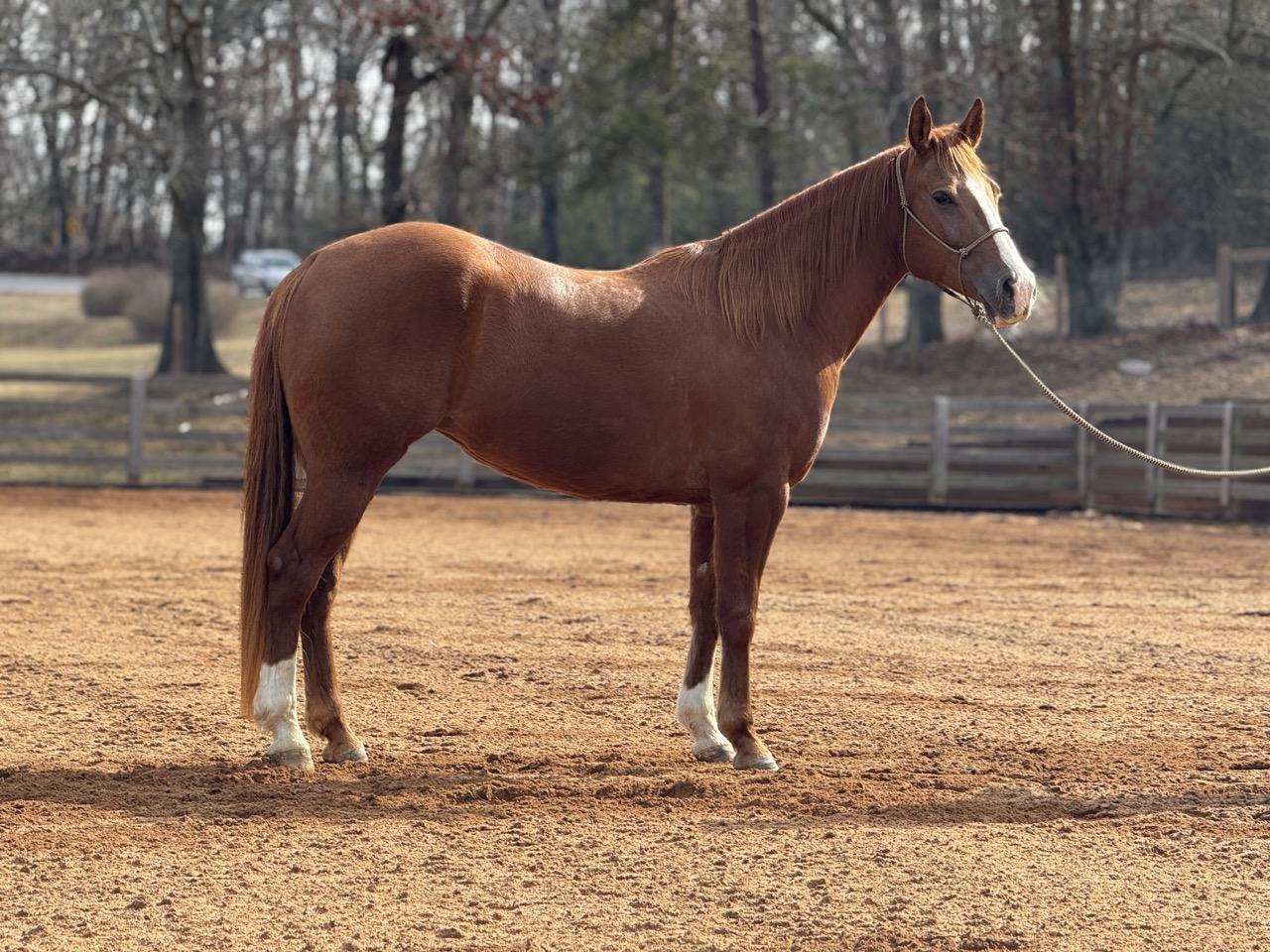 Stashin My Cash - Image 7