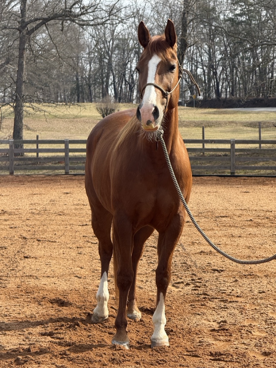 Stashin My Cash - Image 8