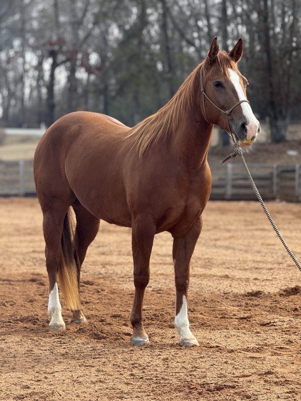 Stashin My Cash - Image 9