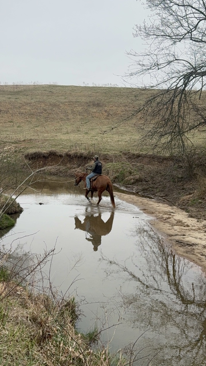 Stashin My Cash - Image 11