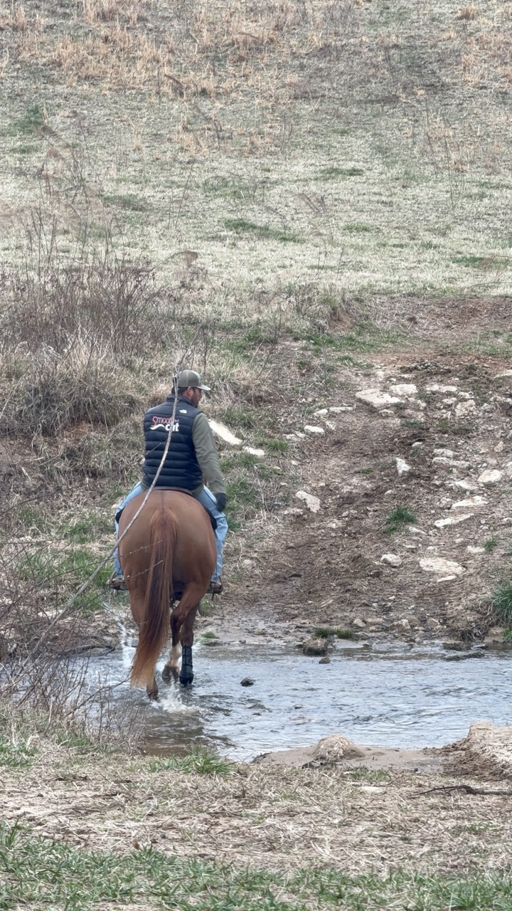 Stashin My Cash - Image 13