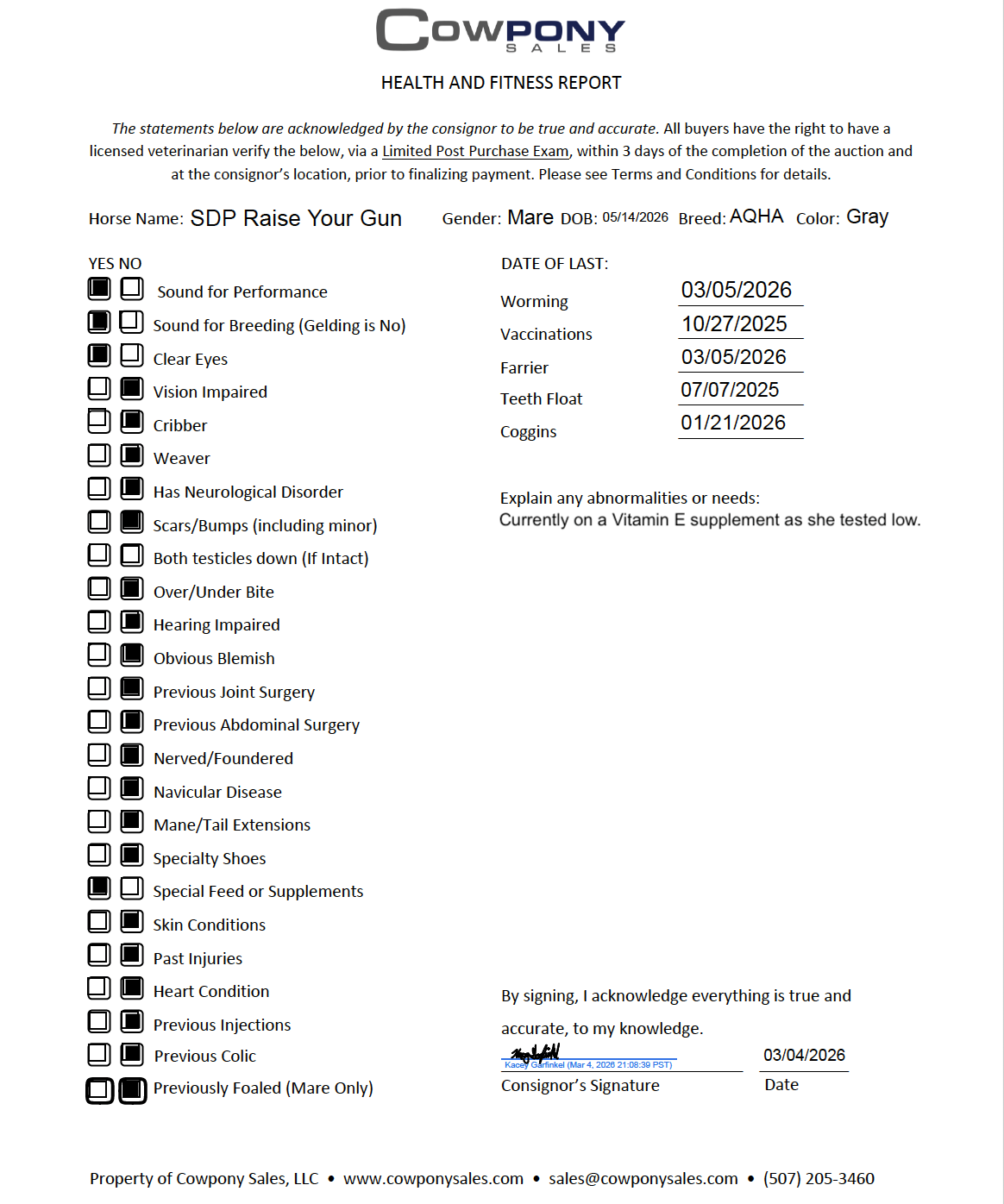 SDP Raise Your Gun - Image 9