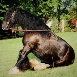 WIGV Butter's May Son