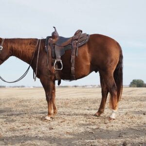 Becaco CD Magnolia (Munchie)