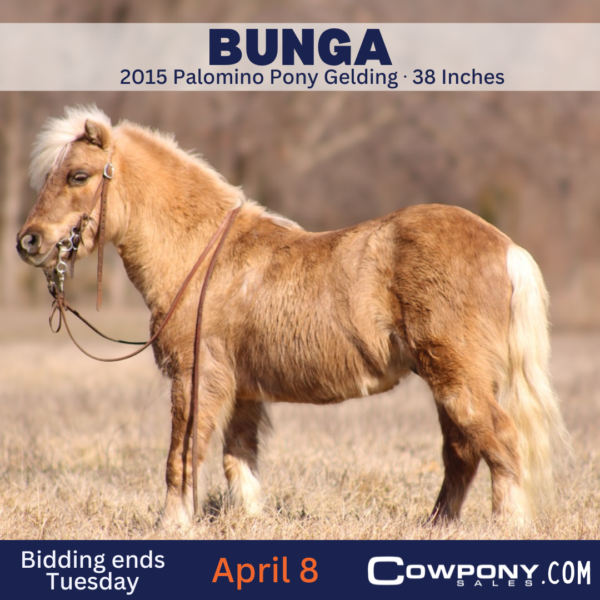 Bunga - Image 12
