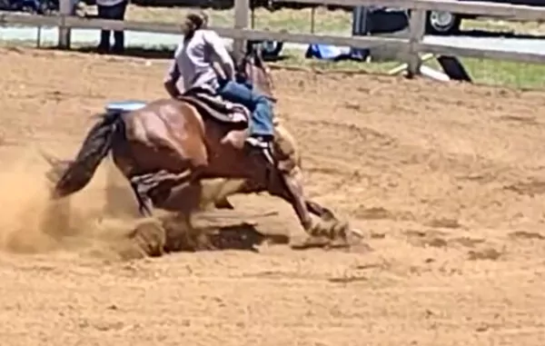 LR SHESADREAM N DIVA - Image 15