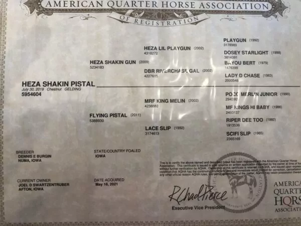 Heza Shakin Pistal (Rusty) - Image 9