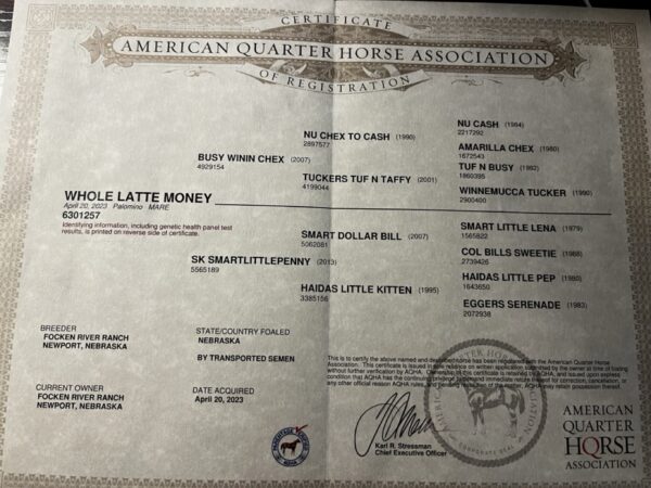 Whole Latte Money - Image 3