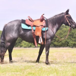 Blue Bell