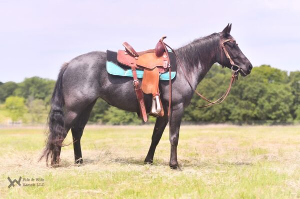 Blue Bell