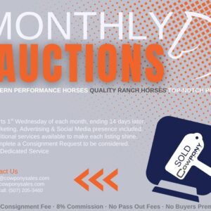 New Consignments September 3rd