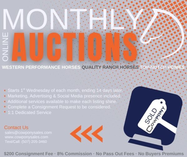 New Consignments September 3rd