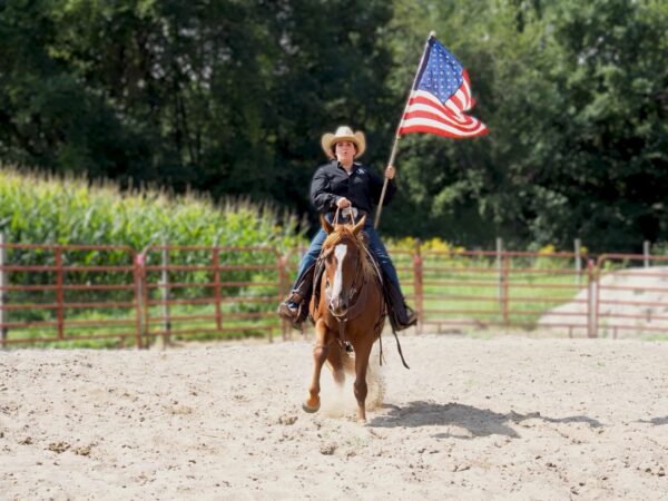 XI Peptos Cashin Rey (Cooper) - Image 3