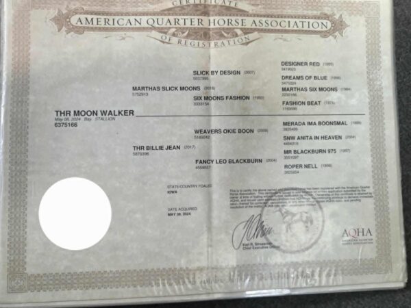 THR Moon Walker - Image 10