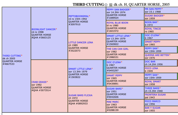 Colt: Third Cutting x OC Rockin Robin - Image 5