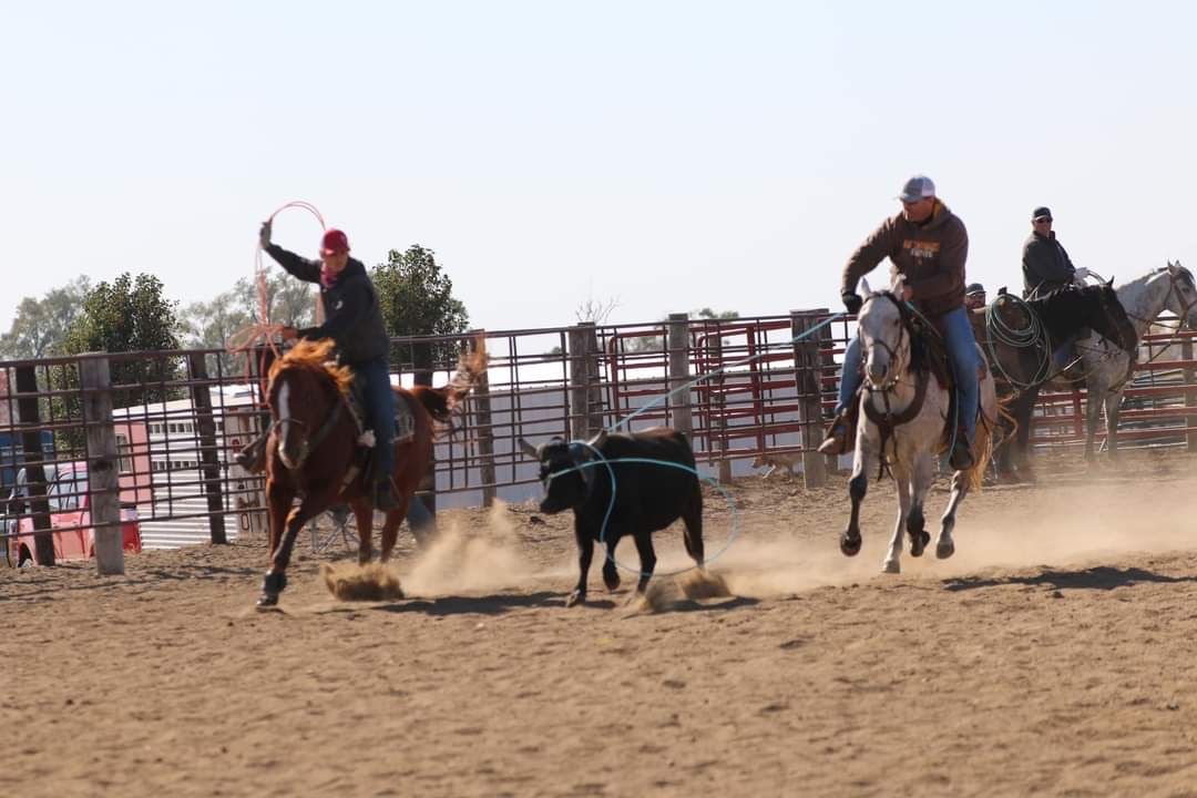 Watch Redbaron Barry (Buddy) - Image 2