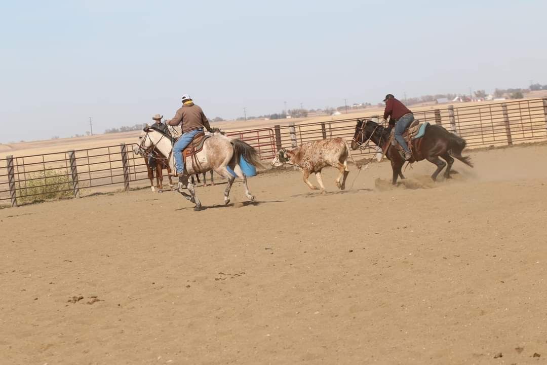 Watch Redbaron Barry (Buddy) - Image 3