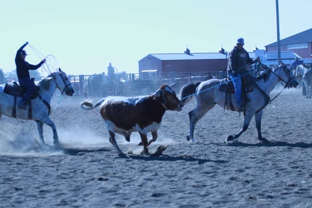 Watch Redbaron Barry (Buddy) - Image 5