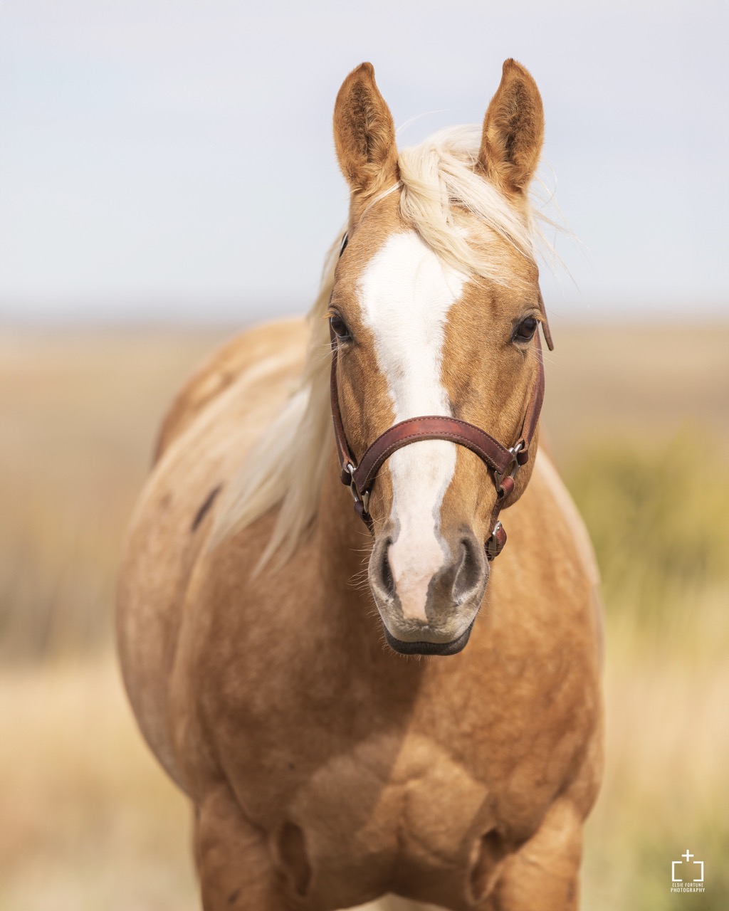 Whole Latte Money - Image 2