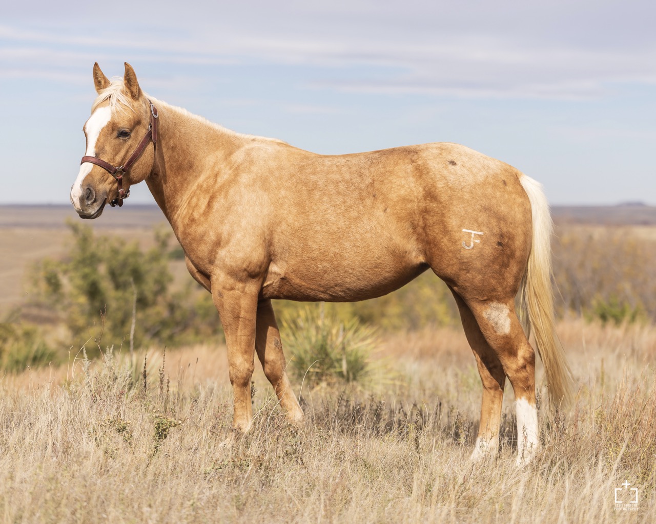 Whole Latte Money - Image 3