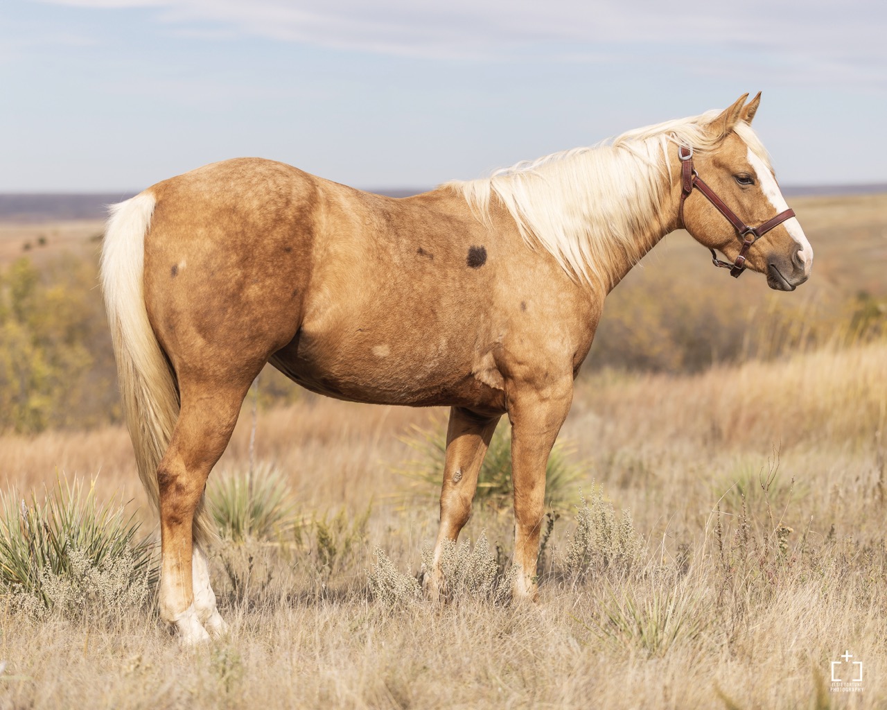 Whole Latte Money - Image 5