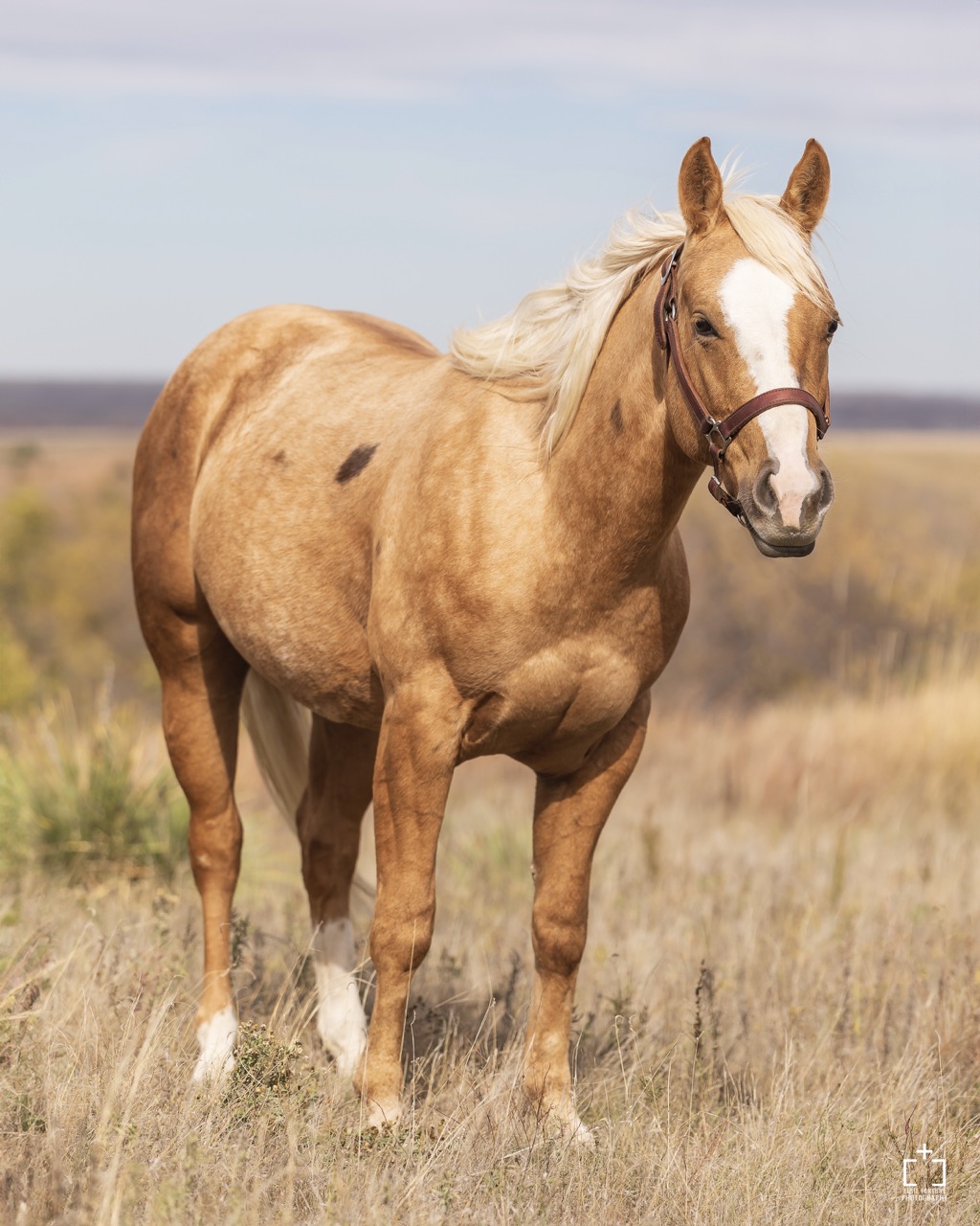 Whole Latte Money - Image 6