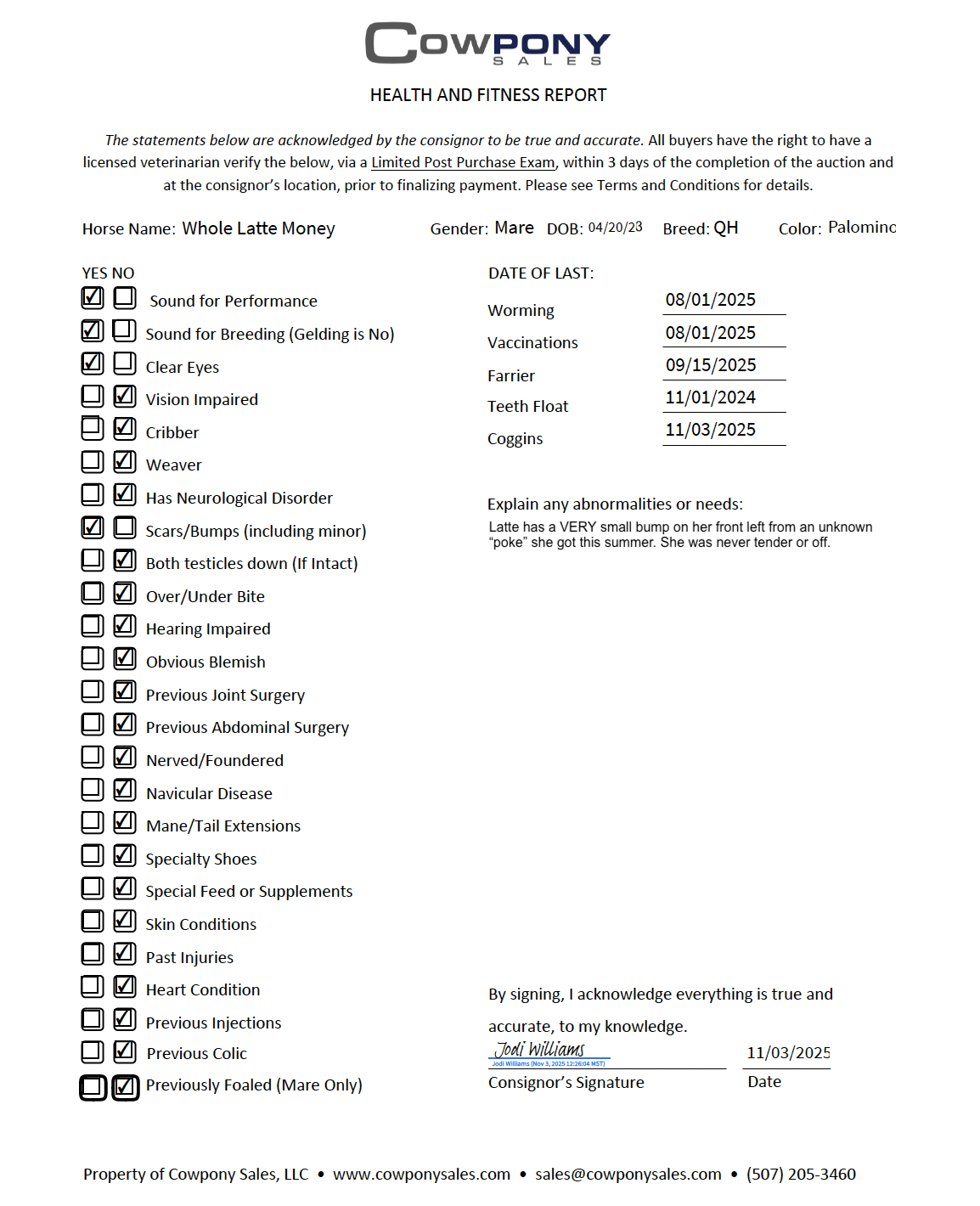 Whole Latte Money - Image 7