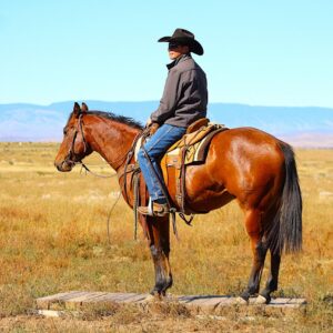 SR Classic Joe (Leroy)