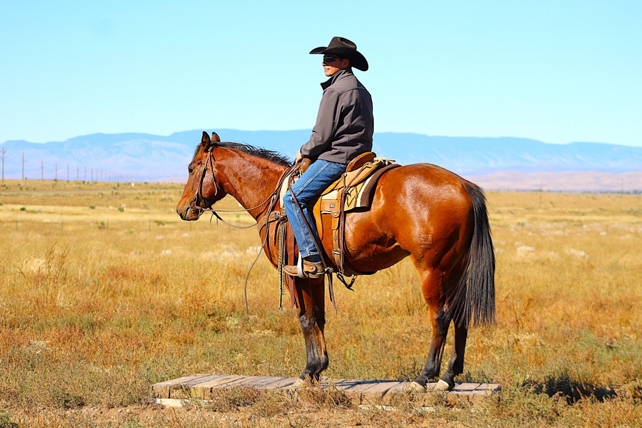 SR Classic Joe (Leroy)